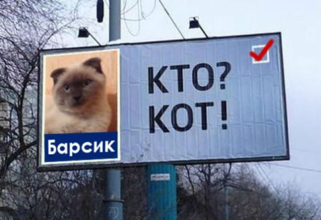 © web  | 
   