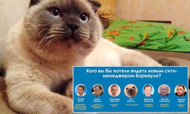 © web  | 
   