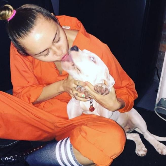 © instagram  | 
   