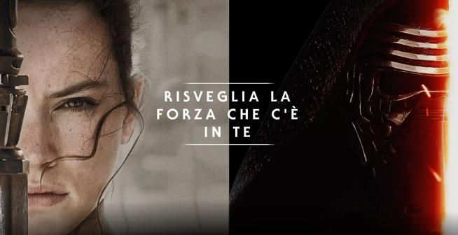 © web  | 
   
