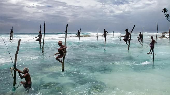 © dal-web  | 
      Sri Lanka: pesca all'amo in riva all'Oceano
   