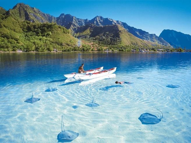 © dal-web  | 
      Sri Lanka: pesca all'amo in riva all'Oceano
   