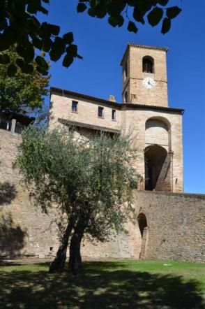 © ufficio-stampa  | 
   