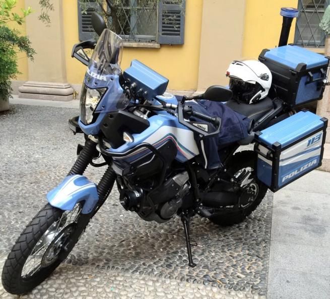 © ufficio-stampa  | 
   