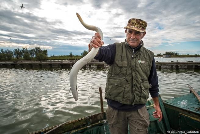 © ufficio-stampa  | 
   