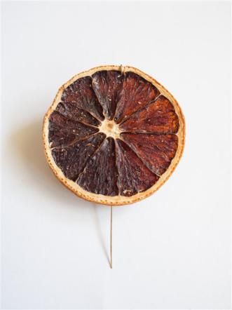 © ufficio-stampa  | 
      Art Deco Jabot pin in stile “Tutti Frutti”, albero della vita con smeraldi intagliati, rubini , smalto nero, diamanti taglio alla francese e diamanti taglio brillante. Collezione Kathryn Bonanno, New York.

   