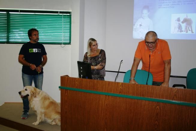 © ufficio-stampa  | 
   