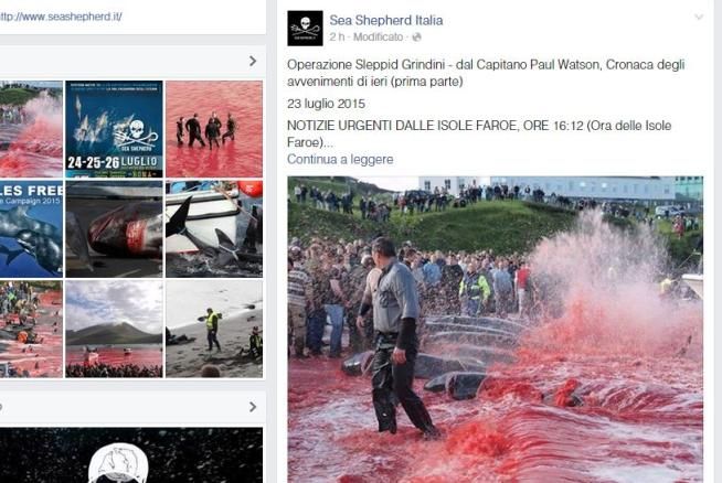 © ufficio-stampa  | 
   