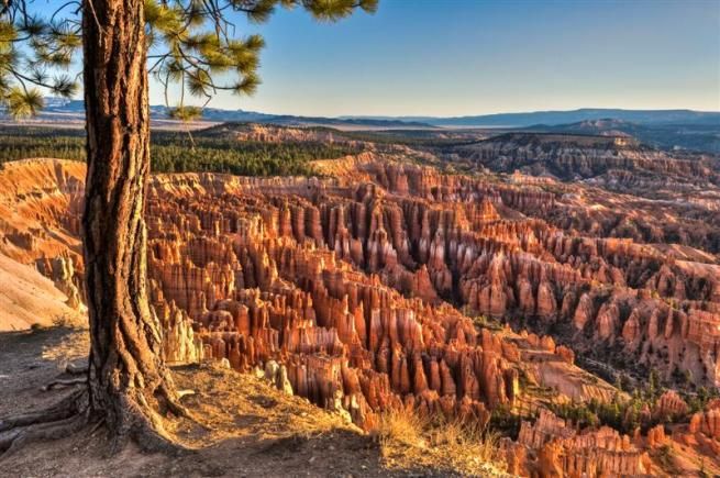 © istockphoto  | Bryce Canyon, USA