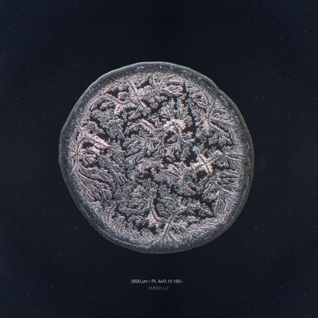 © iberpress  | Lacrima fotografata dopo aver tagliato una cipolla (Credit: Maurice Mikkers)