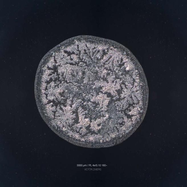 © iberpress  | Lacrima fotografata dopo aver tagliato una cipolla (Credit: Maurice Mikkers)