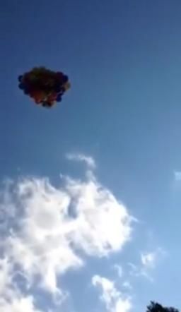 © da-video  | 
   