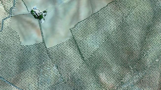© iberpress  | PHOTOGRAPHER
© Daily Overview/DigitalGlobe Inc