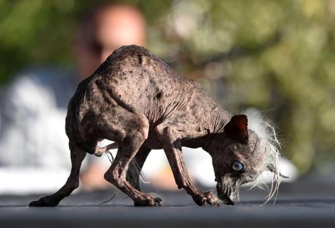 © -afp  | 
   