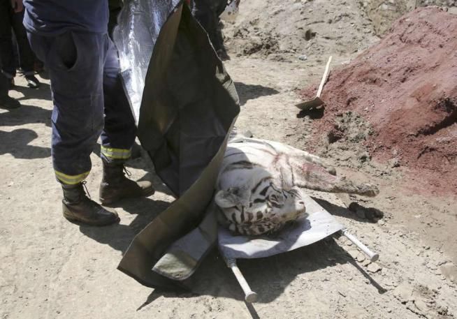 © -afp  | 
   