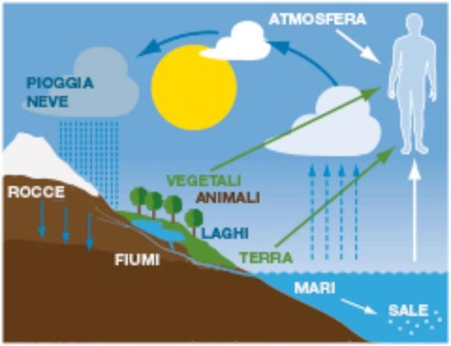 © ufficio-stampa  | 
   