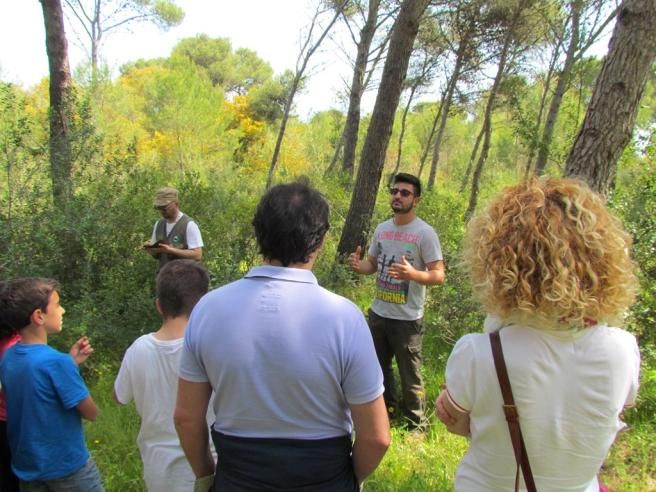 © ente-del-turismo  | 
      La gravina di Laterza
   