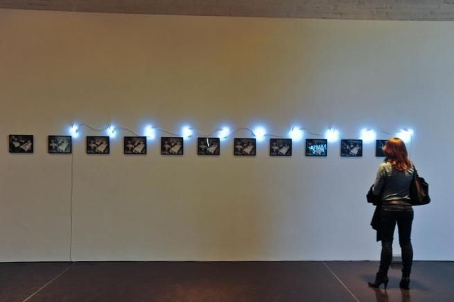 © ufficio-stampa  | 
   