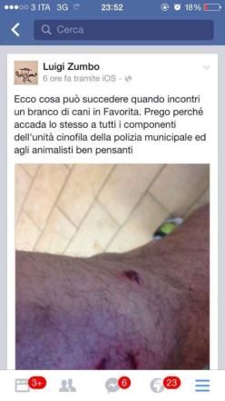 © facebook 