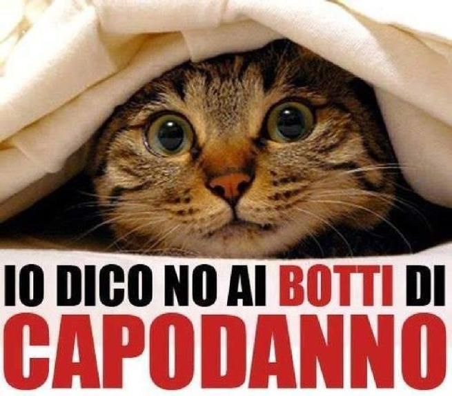 © web 