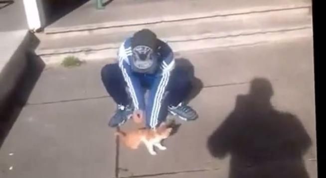 © da-video 