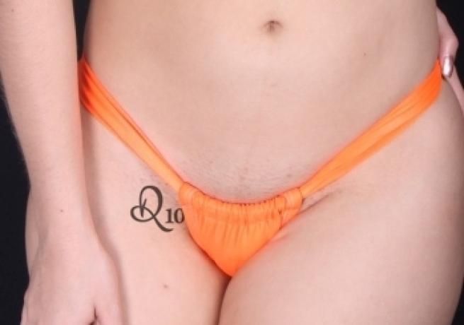 © dal-web 