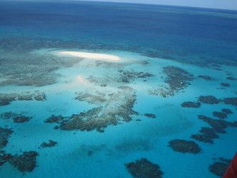 © Unesco  | La grande barriera corallina d'Australia con i suoi 2300 Km è la più estesa sulla terra e ospita più di 1500 specie di pesci diverse