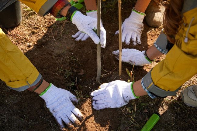 © Ufficio stampa  | Tezenis continua il suo percorso verso la sostenibilità e amplia la collezione Be The Change, che ha l’obiettivo di contenere l’impatto ambientale 