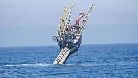 © IberPress 