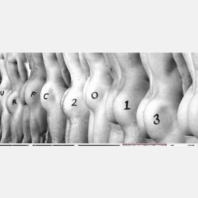 © Dal Web 