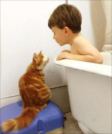 © Dal Web 