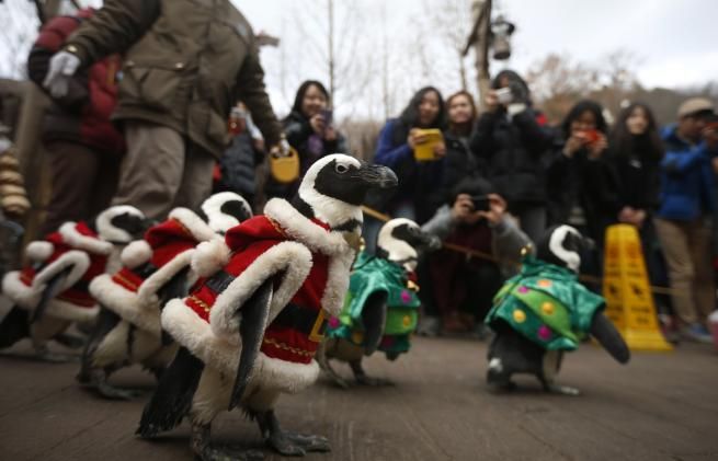 © Reuters 