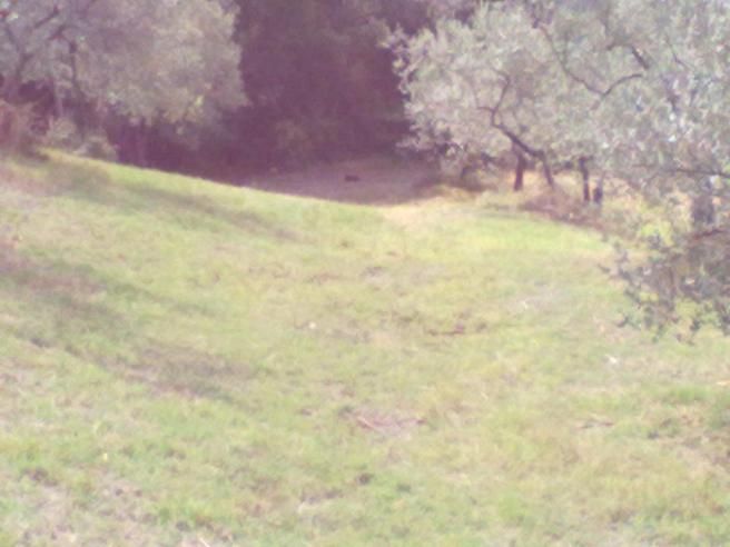 © NewsMediaset 