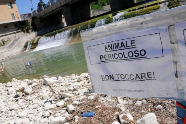 © Italy Photo Press 