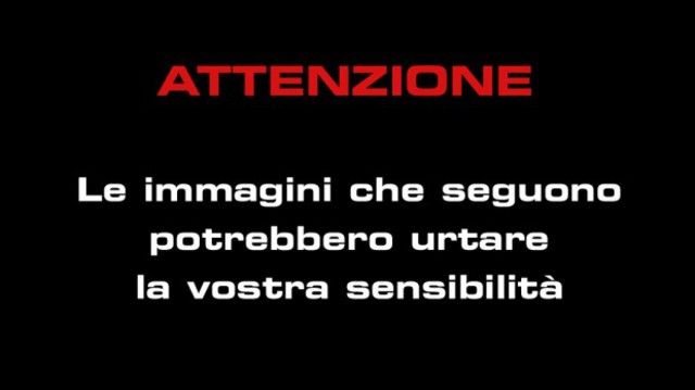 © foto-web 