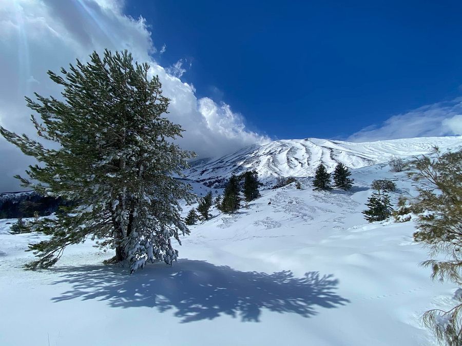 © Facebook / Etna Sci 
