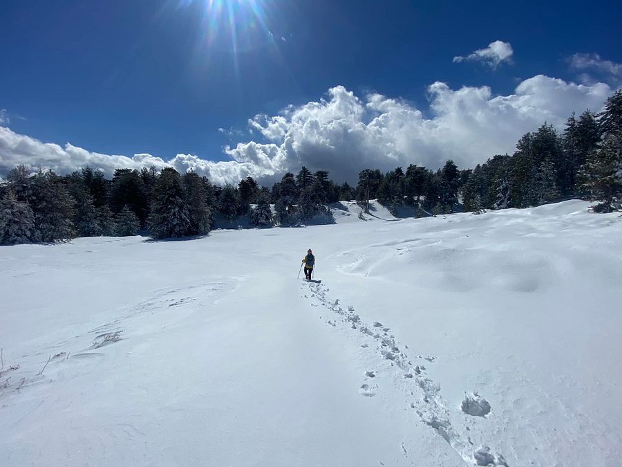 © Facebook / Etna Sci 