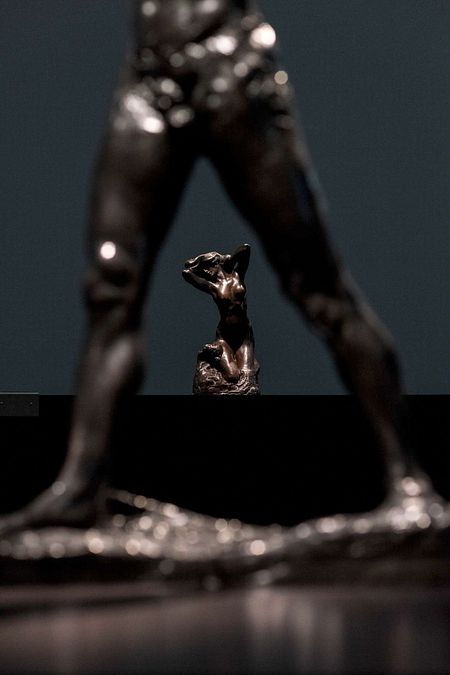© Carlotta Coppo 