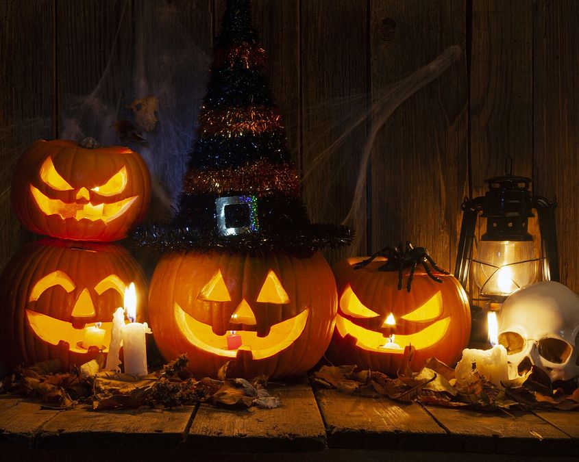 © Istockphoto 