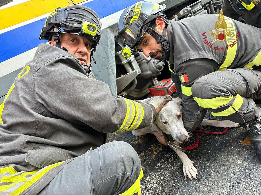 © Comando Provinciale Vigili del Fuoco Torino 
