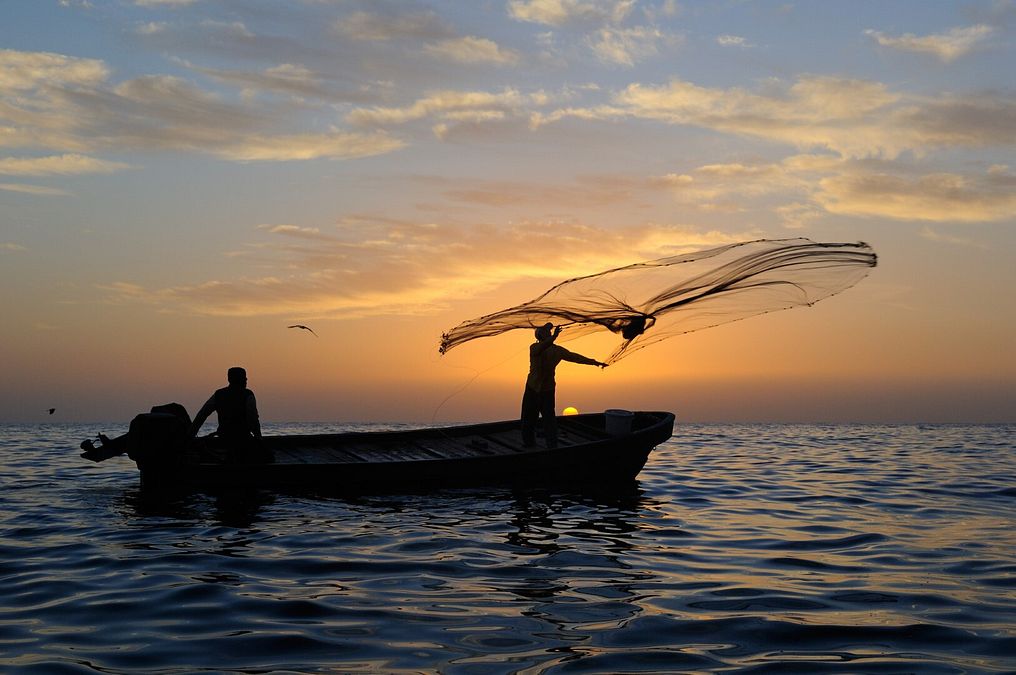 © Ente del Turismo  | Dhofar, cammelli sulla spiaggia a Salalah