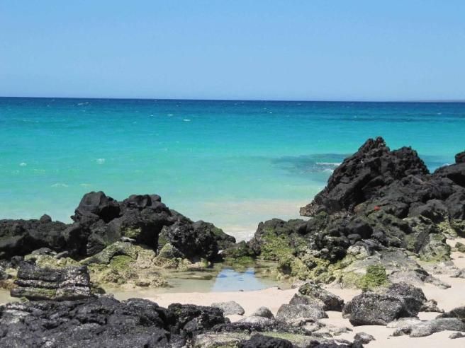 © ufficio-stampa  | Le rocce vulcaniche e il mare selvaggio dell'arcipelago delle Galapagos. 