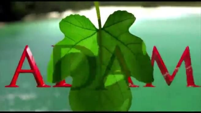 © da-video 