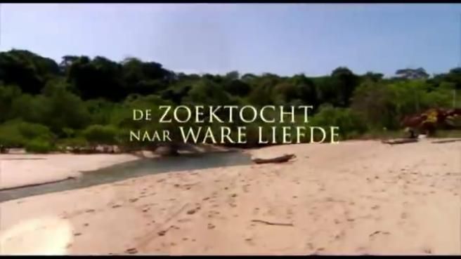 © da-video 