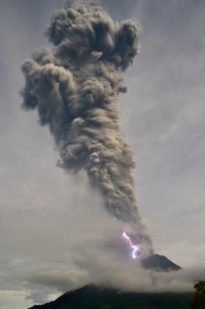 © -afp  | 
   