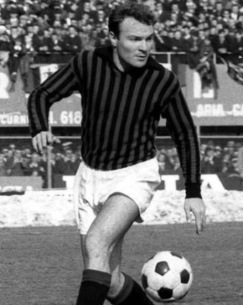 © dal-web  | JOSE' ALTAFINI