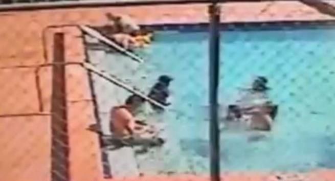 © da-video 