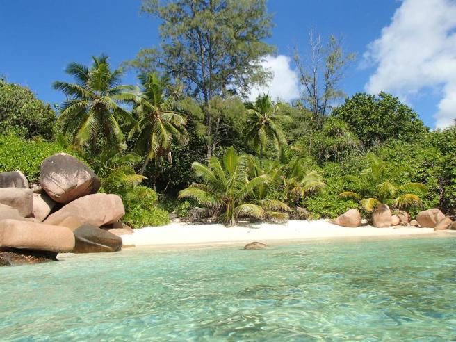 © tripadvisor 