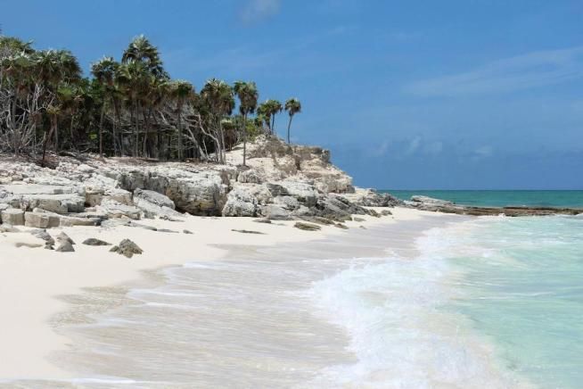 © tripadvisor 