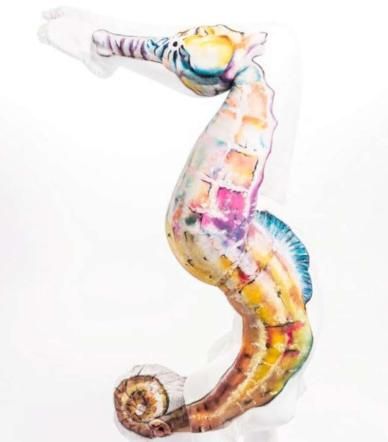 © dal-web  | Gesine Marwedel